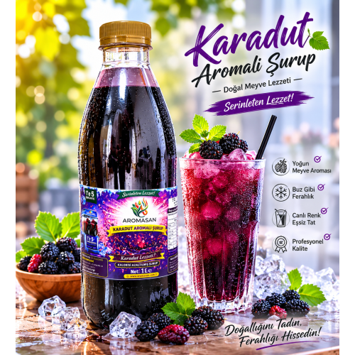 Karadut 1/5 Konsantre Buzlaş Şurupları ürün görseli